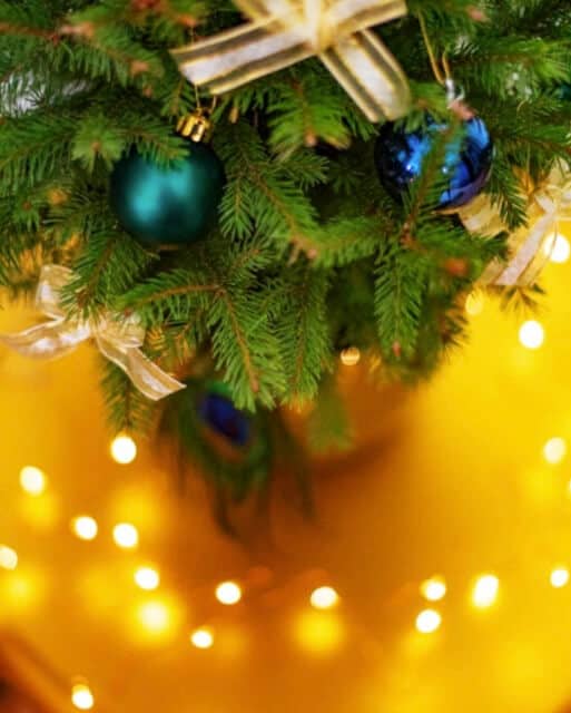 plan rapproché du sapin des rois