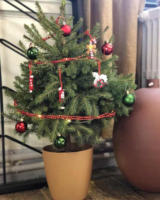 petit sapin naturel en pot avec sa décoration mademoiselle