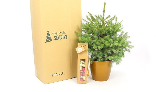 mini sapin naturel en pot avec son carton de transport et sa décoration dans un petit sac